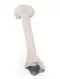 Modelo del hueso Tibia Erler Zimmer 3051