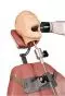 Maniquí dental para Rayos X Erler Zimmer R17001