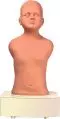 Maniquí de Auscultación Pediátrica Erler Zimmer R60001