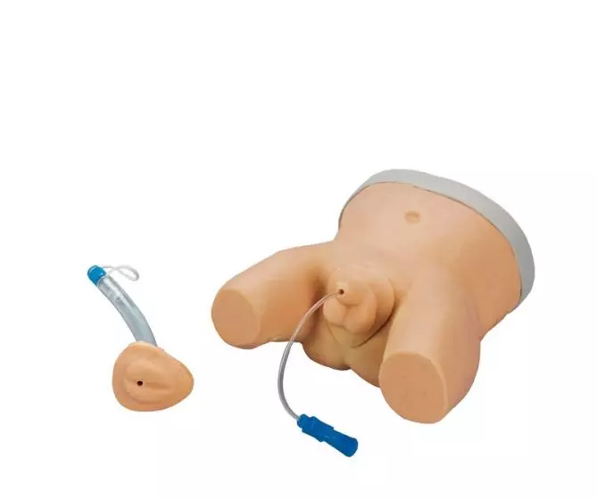 Simulador de cateterismo infantil R10857 Erler Zimmer
