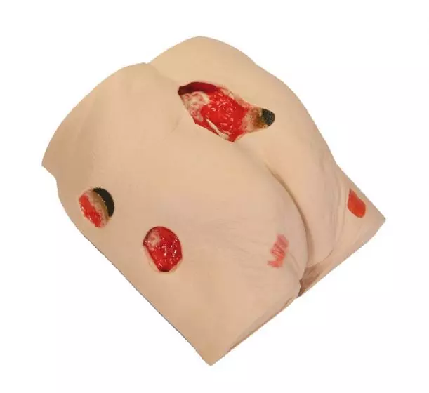 Simulador de Tratamiento de Ulceras Seymour II Erler Zimmer R10073