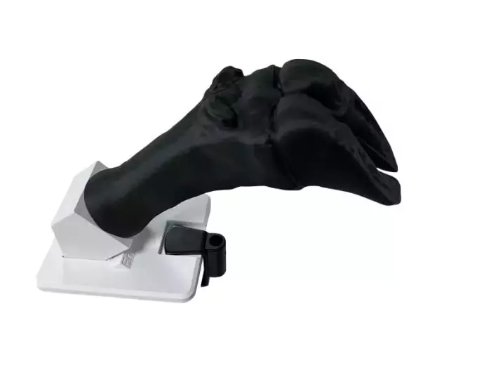 Simulador de vendaje para pezuñas bovinas Erler Zimmer