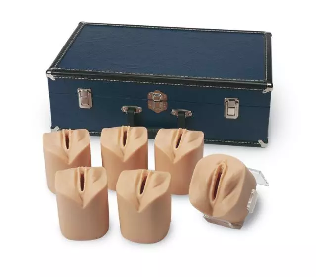 Simulador de Examen de Cuello Uterino Erler Zimmer R10920