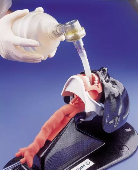 Simulador de intubación AirSim Estándar R18100 Erler Zimmer