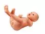 Maniquí neonatal masculino Erler Zimmer BA72