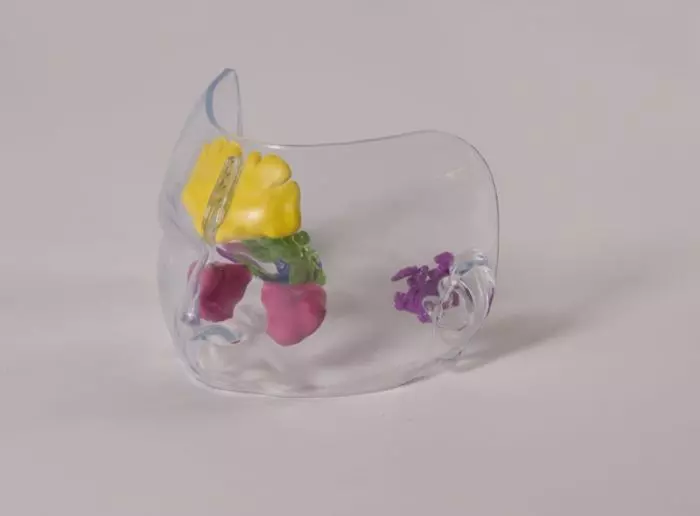 Modelo de rostro transparente con seno paranasal en color C183 Erler Zimmer