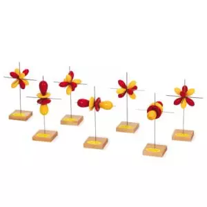 Juego de 7 orbitales-f 3B Scientific