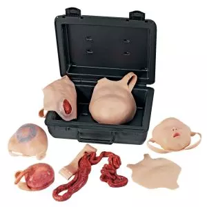 Kit para heridas de neonatos 3B Scientific W19368
