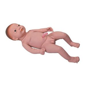 Modelo bebé con cordón umbilical