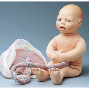 Modelo de feto R10070 Erler Zimmer