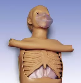 Torso CPR W45117