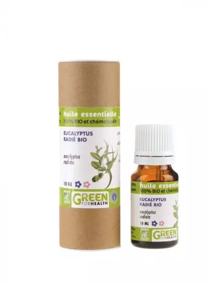 aceite esencial de eucalipto inhabilitado verde orgánico para la salud