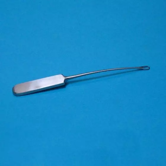 Anillo de St. Paul, longitud 14 cm