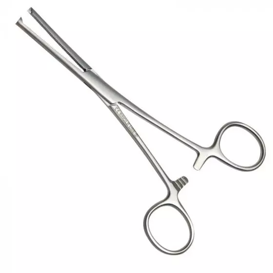 Pinza hemostática Bengolea curva con dientes 240 mm MTS-05603 LCH