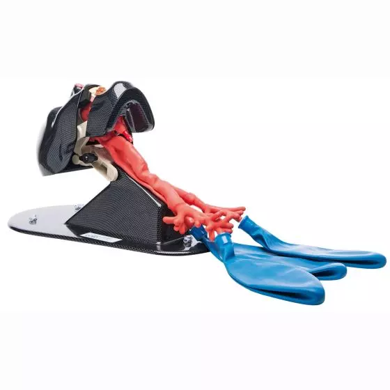 Modelo AirSim Bronchi con paso nasal 3B Scientific W47403