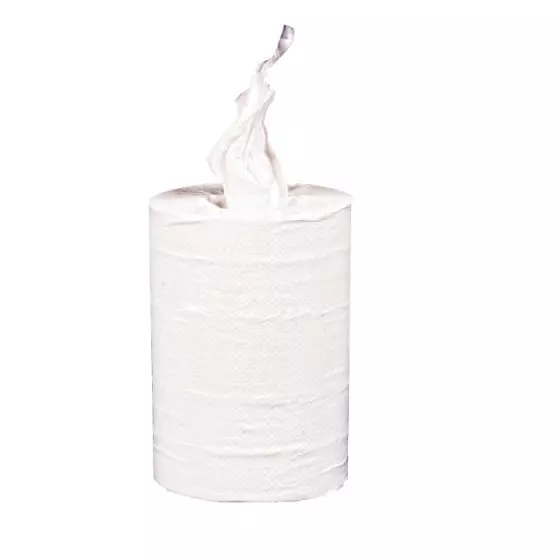 Papel Secamanos CareNess Excellent Rollo 70m