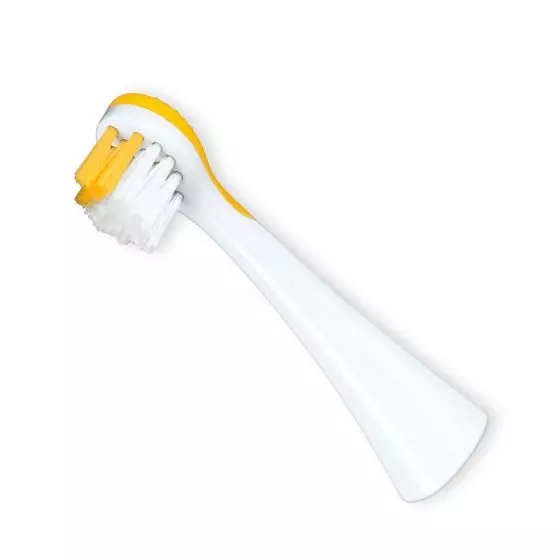 Cepillos de dientes de recambio Beurer JZA 04 Para Cepillo de dientes JZA70