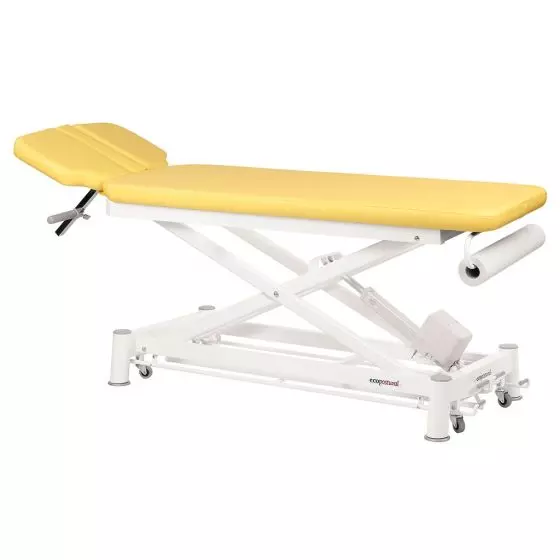 Camilla de masaje eléctrica 2 cuerpos con sistema periférico Ecopostural C7546