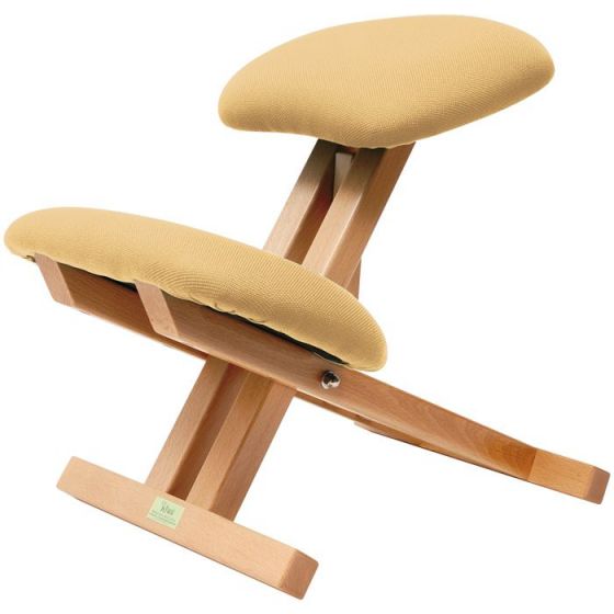 Silla plegable de línea cuadrada Ecopostural S2106 por 272.4