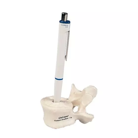 Vértebra pluma A70/1