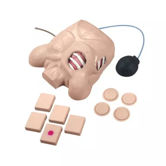 Maniquí de sonda torácica Life/Form W44673 1017946 3B Scientific