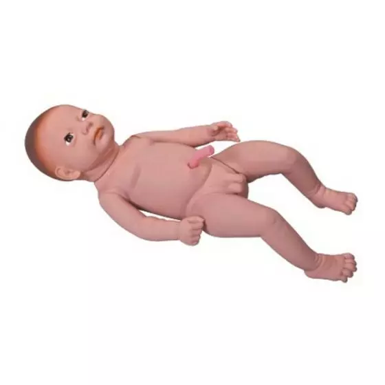 Modelo bebé con cordón umbilical