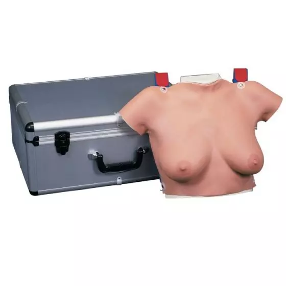 Modelo para la autoexaminación de mamas para colgar L50