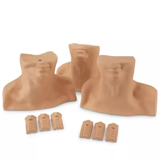 Simulador de cricotiroidotomía 3B Scientific W44016