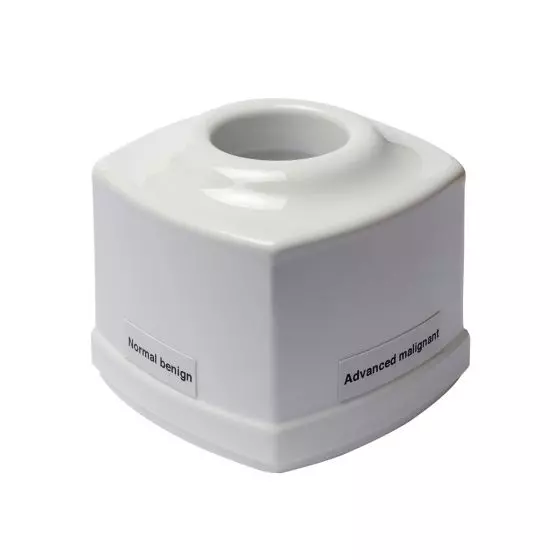 Simulador de examen de la próstata 3B Scientific W19344