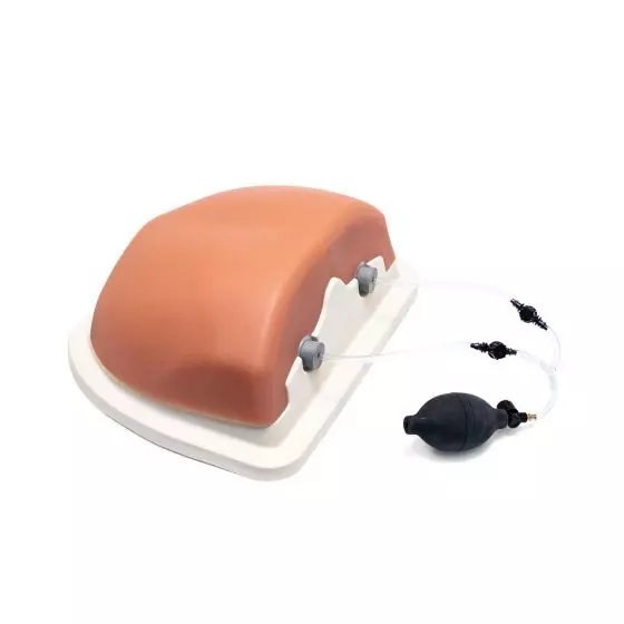 Simulador de inyección guiada por imagen P66