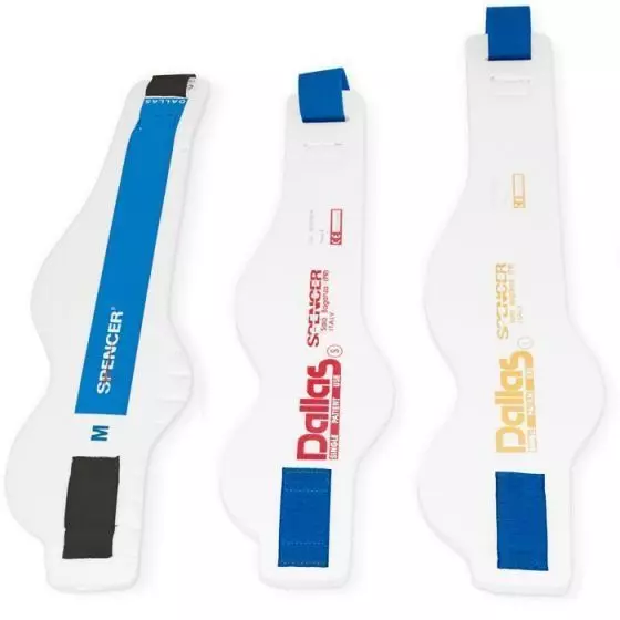 Minerva Spencer Dallas