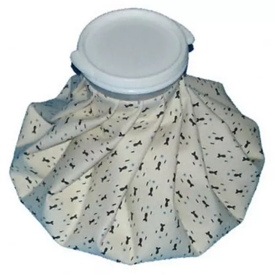 Bolsita de hielo Holtex