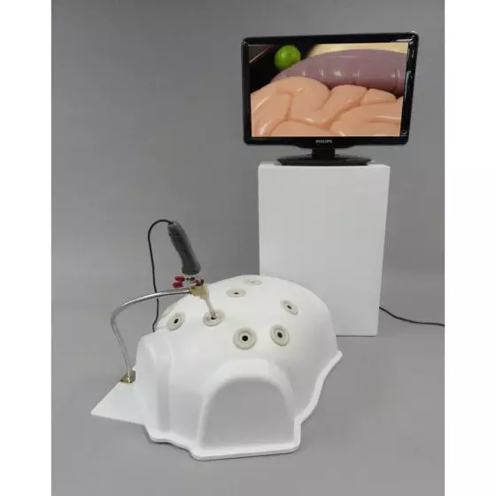 Simulador para laparoscopia Gama T12 3B Scientific W44911