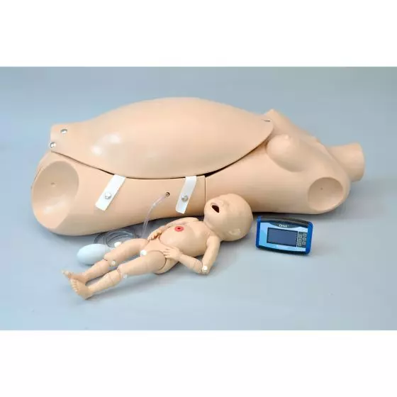 Torso Maternal y maniquí neonatal W45113 3B Scientific