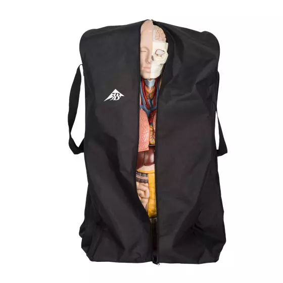 Funda protectora sólida para torsos 3B Scientific