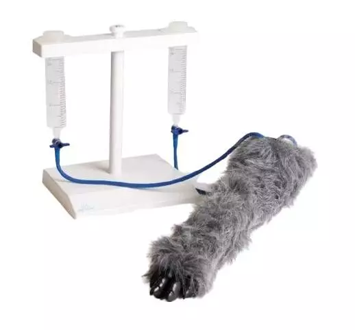 Simulador de inyección canina Erler Zimmer