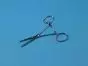 Pinza Kocher derecha 13 cm