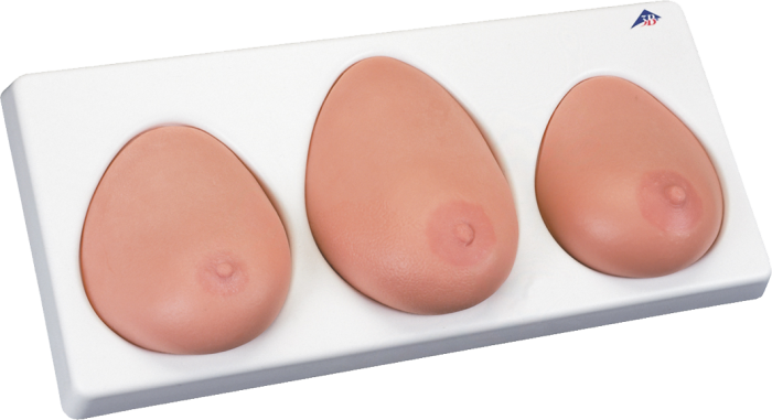 Modelo para la palpación de mama, tres mamas con soporte 3B - L55