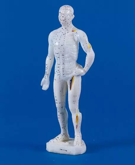 Mini modelo masculino de acupuntura 2044 Erler Zimmer