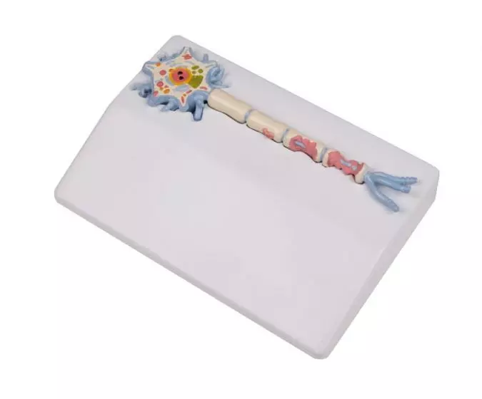 Modelo de neurona con esclerosis múltiple C45 Erler Zimmer