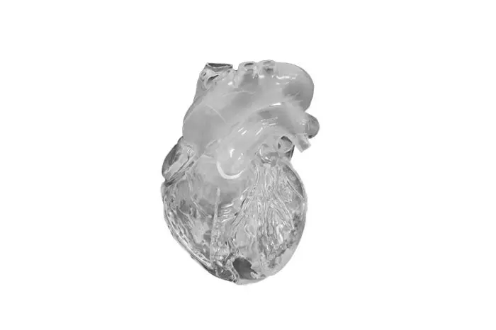 Modelo didáctico de corazón G510 Erler Zimmer, versión flexible