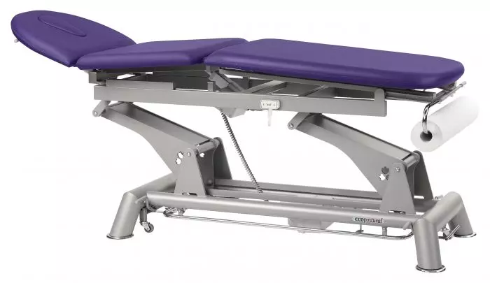 Camilla de masaje electrica 3 cuerpos Ecopostural C5921