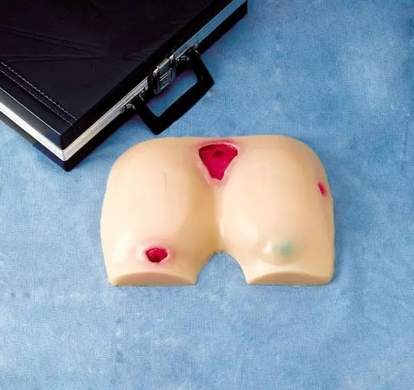 Simulador para el tratamiento de úlceras de decúbito R10026 Erler Zimmer