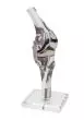 Modelo de rodilla con endoprótesis Erler Zimmer 4449