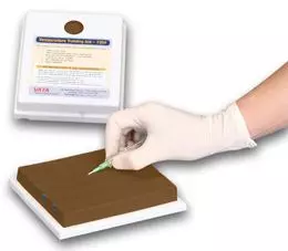 Simulador de punción venosa Piel oscura 3B Scientific W46519D