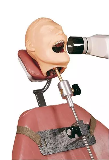 Maniquí dental para Rayos X Erler Zimmer R17001