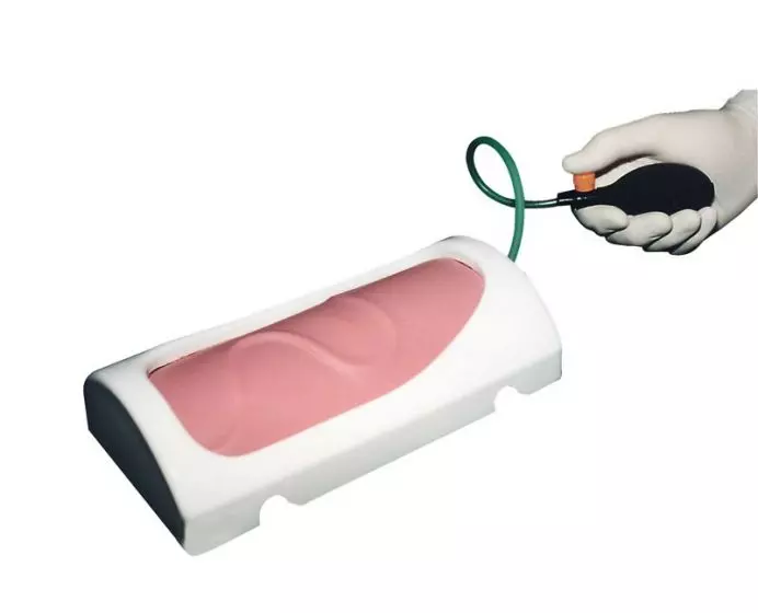 Simulador Portátil de Inyección Intravenosa Erler Zimmer R10096