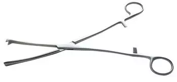 Pinza Museux Curva o Derecha Comed