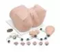 Maniquí de Entrenamiento Ginecológico Erler Zimmer R10182